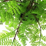 30cm Artificial Potted Lady Fern (Athyrium Filix-Femina)