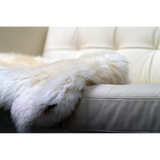 d829ce28-816b-4630-96d8-2f760a61a353.png