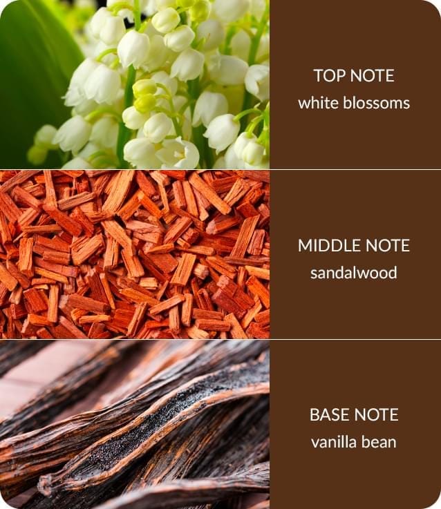 Bamboo White Blossom & Sandalwood Small Soy Candle 20 Hours Burn Crackling Wick